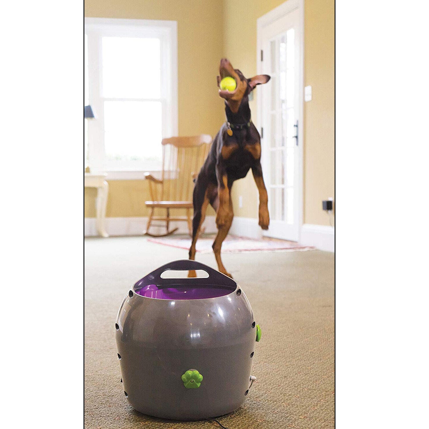 Petsafe Automatic Ball Launcher – Outdoor Dog Tennis Ball Thrower